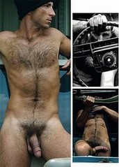gay hairy ass cums